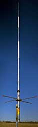 HUSTLER G71501
